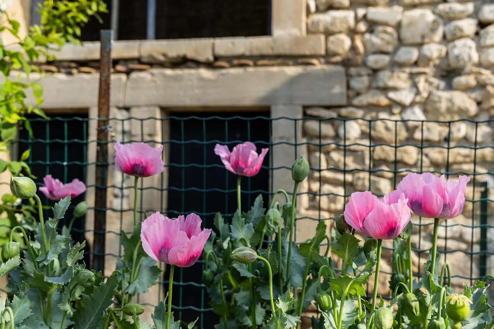 Mas Mes Aieux Villa Saint-Remy-de-Provence Holiday home