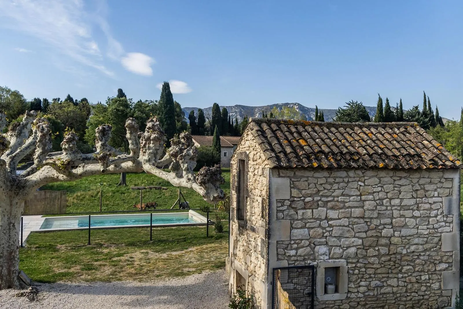 Mas Mes Aieux Villa Saint-Remy-de-Provence Holiday home